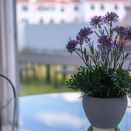 Areal De Santa Barbara * 大里贝拉