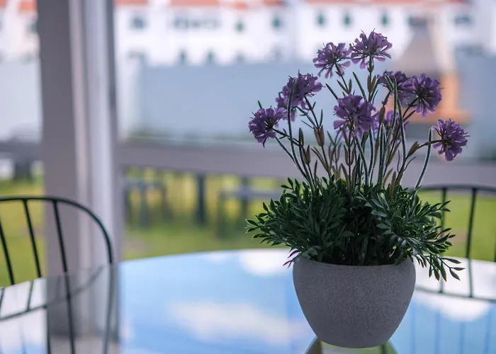 Areal De Santa Barbara * Ribeira Grande